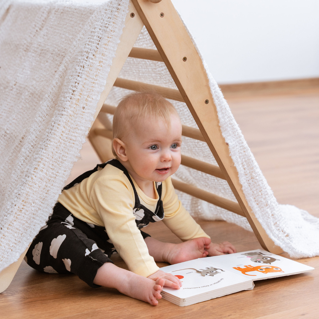 SIPITRI® 2 Segment Climbing Triangle With a Sliding/Climbing Ramp